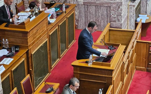 დამსახურებული სტატუსის მისაღებად, ძალიან დიდი მოლოდინი გვაქვს - დავით სონღულაშვილი
