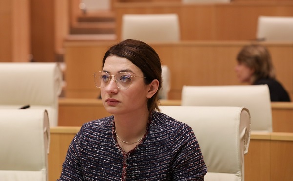 ახლა მთავარია, ჩვენს მიზანს, რასაც ჰქვია ევროკავშირში და შემდეგ ნატო-ში გაწევრება, რაც შეიძლება დროულად მივაღწიოთ - ანა ბუჩუკური