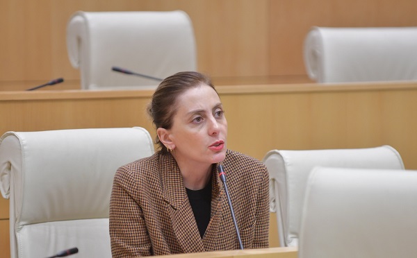 ხელისუფლებამ ყველანაირი ძალისხმევა მიმართა იმისთვის, რომ კანდიდატის სტატუსი არ მიგვეღო, თუ ჩვენ ვიღებთ კანდიდატის სტატუსს, ეს მხოლოდ საქართველოს მოქალაქეების დამსახურებაა - ხატია დეკანოიძე