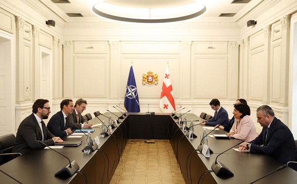 სალომე ზურაბიშვილი ხავიერ კოლომინას შეხვდა