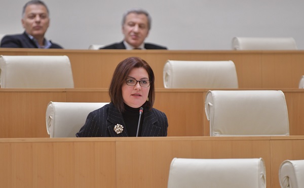 ევროკავშირი სჭირდება ხალხს, რადგან ეს ნიშნავს სახელმწიფოს, რომელიც მარტო არ ტოვებს მოქალაქეს - ანა ნაცვლიშვილი