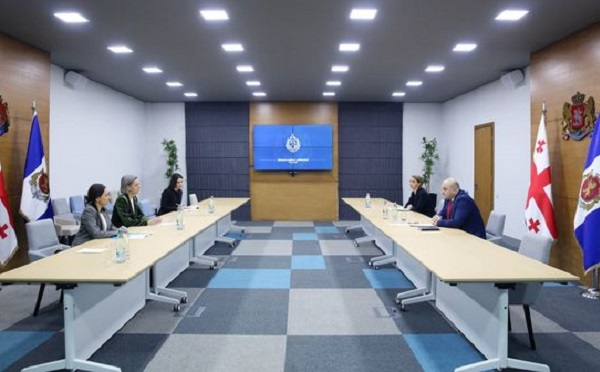 ალექსანდრე დარახველიძე გაეროს პროექტების მომსახურების ოფისის ავსტრიის რეგიონული ოფისის დირექტორს შეხვდა