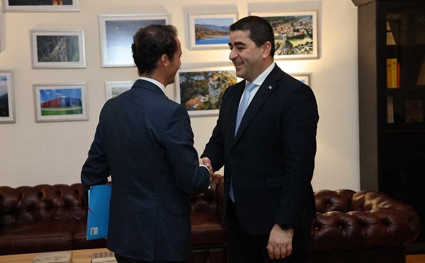 შალვა პაპუაშვილი ხავიერ კოლომინას შეხვდა