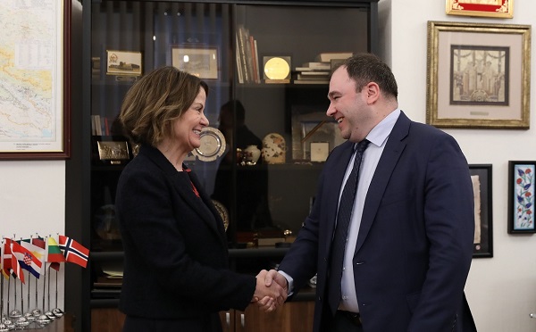 ნიკოლოზ სამხარაძე რობინ დანიგანს შეხვდა