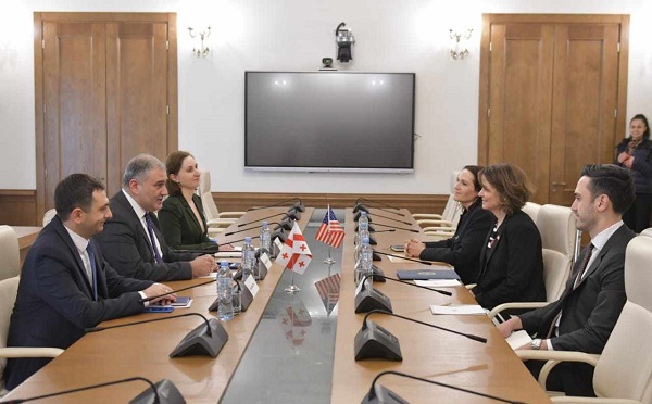 მიხეილ სარჯველაძე ამერიკის შეერთებული შტატების ელჩს შეხვდა