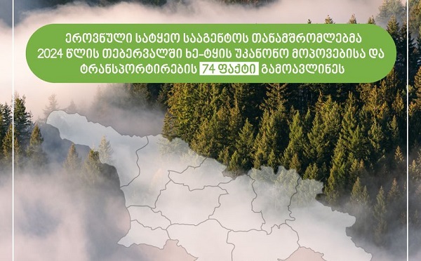 2024 წლის თებერვლის განმავლობაში ხე-ტყის უკანონო მოპოვებისა და ტრანსპორტირების 74 ფაქტი გამოვლინდა