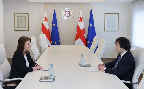 ირაკლი კობახიძე დანიის სამეფოს ელჩს შეხვდა