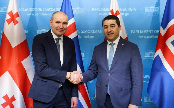 შალვა პაპუაშვილი ისლანდიის რესპუბლიკის პრეზიდენტს შეხვდა