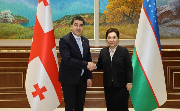 შალვა პაპუაშვილი უზბეკეთის რესპუბლიკის სენატის თავმჯდომარეს შეხვდა