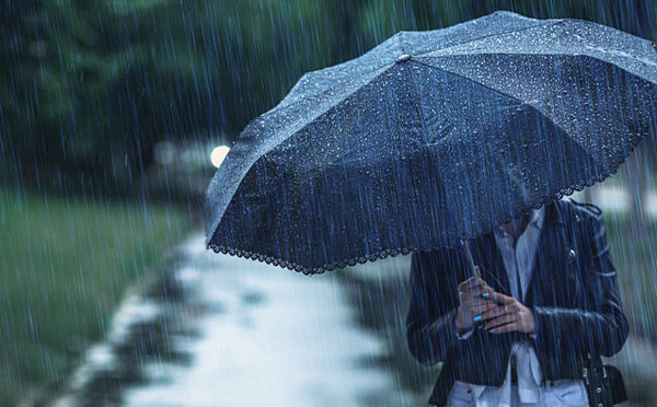 უახლოეს საათებში, თბილისში წვიმა და სეტყვაა მოსალოდნელი - გარემოს ეროვნული სააგენტო