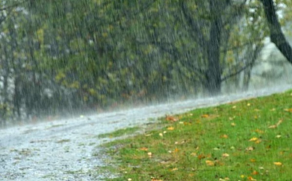 10 ივნისამდე საქართველოში მოსალოდნელია დროგამოშვებით წვიმა, ზოგან ძლიერი, შესაძლებელია სეტყვა და ქარის გაძლიერება