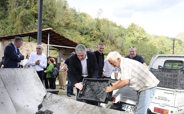 სახელმწიფოს მხრიდან სუბსიდირების პროგრამის განხორციელება ადგილობრივებისთვის ძალიან მნიშვნელოვანი მხარდაჭერაა - „მეღვინეობა ბარაკონის“ დამფუძნებელი