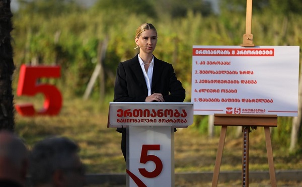 თინა ბოკუჩავამ, “ნაციონალური მოძრაობის” ხუთი საარჩევნო პრიორიტეტი წარადგინა