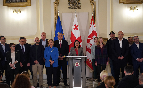 სოლიდარობას ვუცხადებთ ოპოზიციურ პარტიებსა და საქართველოს პრეზიდენტს, უარვყოფთ ძალადობასა და დაშინებაზე დაფუძნებულ შედეგებს - ALDE/LI