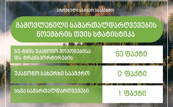 ეროვნული სატყეო სააგენტოს თანამშრომლებმა, მიმდინარე წლის ნოემბრის თვეში, სამართალდარღვევის 54 ფაქტი გამოავლინეს