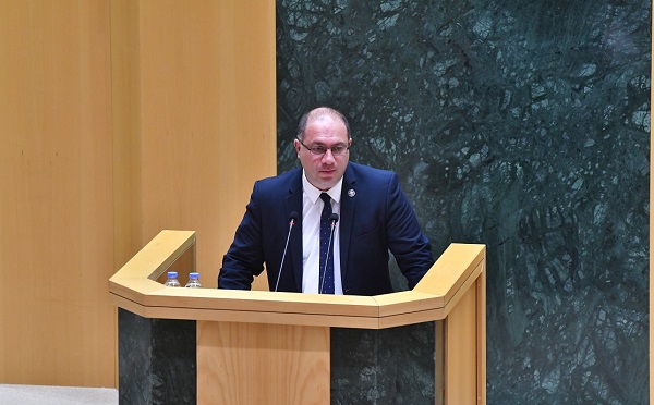 პარლამენტმა უმაღლეს სასწავლებლებში ქართული ენის სავალდებულო სწავლებასთან დაკავშირებული კანონპროექტი პირველი მოსმენით მიიღო
