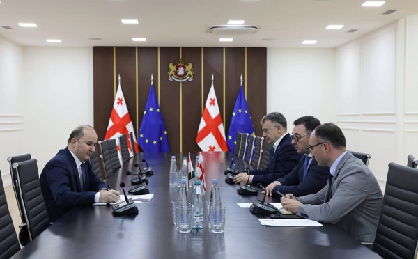 დავით სონღულაშვილი საქართველოში აკრედიტებულ ტაჯიკეთის რესპუბლიკის ელჩს (რეზიდენციით აზერბაიჯანში) ილჰომ აბდურაჰმონს შეხვდა