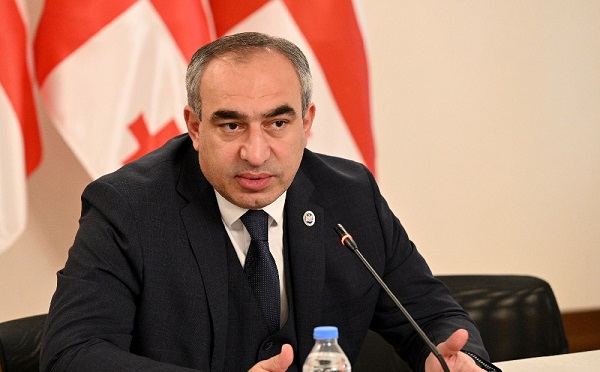 ევროკომისიის განცხადება მიუთითებს, რომ "დიფ სთეითს" გავლენები ევროკავშირშიც აქვს - ლადო ბოჟაძე