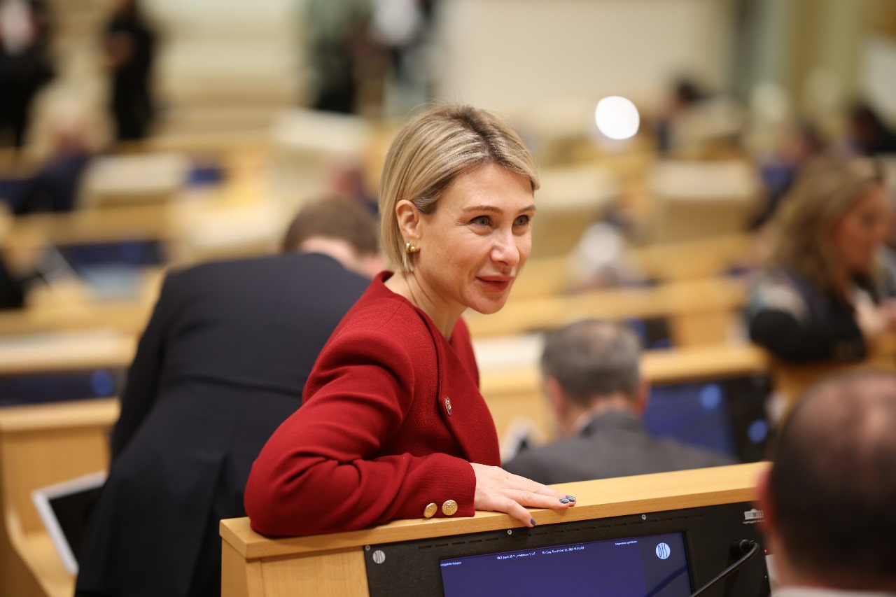ვხედავთ, რომ ბაიდენის ადმინისტრაციის მიერ დაშავებული, მათ შორის უსამართლოდ გადადგმული ნაბიჯები, სამწუხაროდ, ამ ეტაპამდე არ არის გამოსწორებული - ნინო წილოსანი