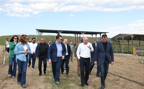 ჩვენთვის მნიშვნელოვანია, მაქსიმალურად შევუწყოთ ხელი კაკლოვანი კულტურების, მათ შორის ნუშის, წარმოების პოტენციალის ათვისებას - დავით სონღულაშვილი