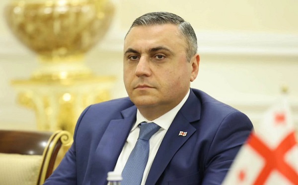 ბალტიისპირეთის ქვეყნების ნაბიჯები სამარცხვინოა - დავით მათიკაშვილი