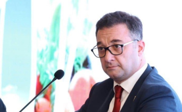 საქართველოსა და აზერბაიჯანს შორის არსებობს ურყევი პარტნიორობა და საერთო სტრატეგიული მიზნები - დავით სონღულაშვილი