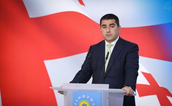 თუკი რომელიმე „ენჯეო“ გაერევა კიდევ ერთხელ ძალადობაში, პირდაპირ ეს იქნება იმ დონორის ბრალი, რომელიც აქამდე ხმას არ იღებს - შალვა პაპუაშვილი