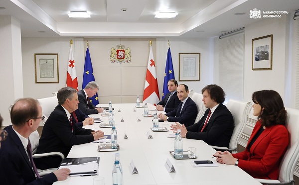 ირაკლი კობახიძე სენატორ სტივ დეინსს შეხვდა