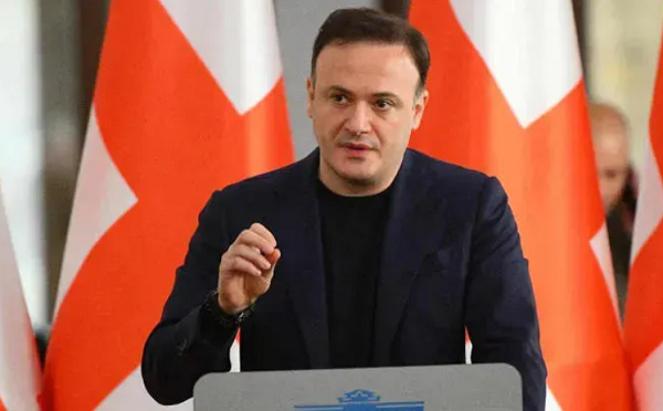 მე მგონია, ამ ქალბატონს კლიმაქსის პრობლემა დაუდგა - ირაკლი ზარქუა რასა იუკნევიჩიანეზე