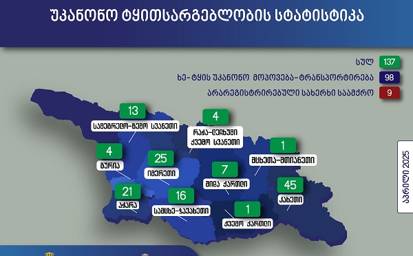 აპრილში უკანონო ტყითსარგებლობის 137 ფაქტი გამოავლინეს