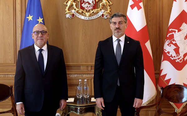 მიხეილ ყაველაშვილი საქართველოში თურქეთის ელჩს შეხვდა