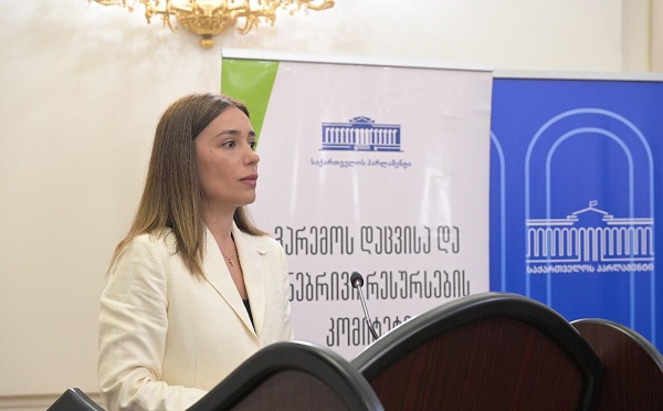 ნინო თანდილაშვილმა გარემოს დაცვისა და სოფლის მეურნეობის სამინისტროს ასოცირების შესახებ შეთანხმებით გათვალისწინებულ ვალდებულებათა შესრულების შესახებ 2024 წლის ანგარიში და 2025 წლის სამოქმედო გეგმა წარმოადგინა