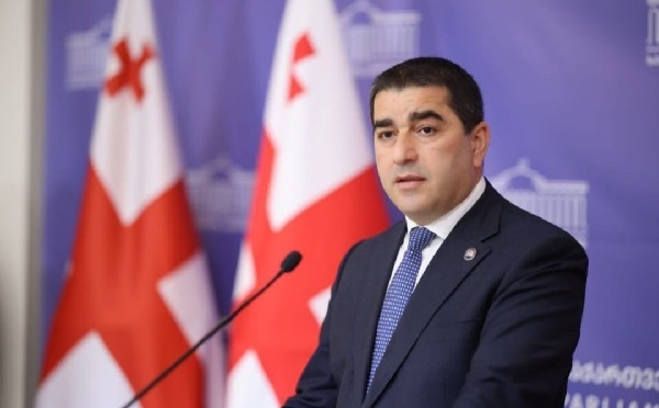 შალვა პაპუაშვილი ოფიციალური ვიზიტით ანკარაში გაემგზავრა
