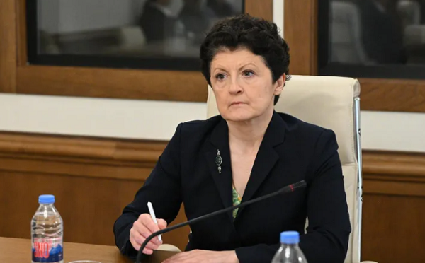 რეორგანიზაცია ჩაატარეთ თუ არა და თუ არა, რატომ? ხომ არ მუშაობთ თქვენ ისევ, ქალბატონი მავნებელი ლომჯარიას კადრებთან ერთად - თეა წულუკიანი ლევან იოსელიანს