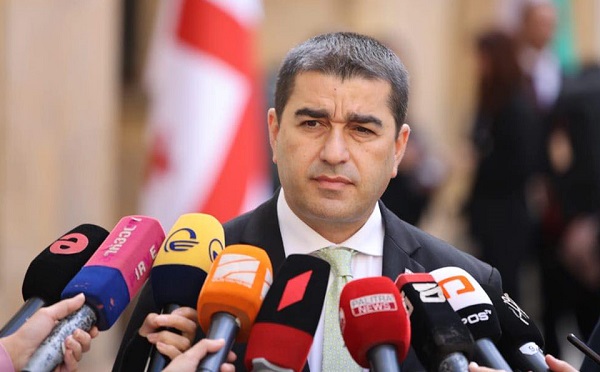 უვიზო მიმოსვლის შეჩერების არანაირი საფუძველი არ არის, თუმცა თუკი ადგილი ექნება თავნებობას, ამის წინასწარ განჭვრეტა ჩვენ არ შეგვიძლია - შალვა პაპუაშვილი