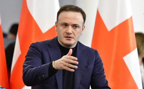 გინდათ მათქმევინოთ, რომ ელჩი დანიგანი არ დაემორჩილა ადმინისტრაციას, ტრამპის წერილი არ გამოაქვეყნა და იძულებული გახდა წასვლის გადაწყვეტილება მიეღო, მაგრამ ამას არც დავადასტურებ და არც უარვყოფ - ირაკლი ზარქუა