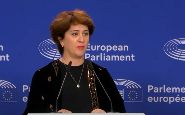 რუსეთის მოკავშირე მთავრობა საკუთარი ქვეყნის ევროპული მომავლის საბოტაჟს ეწევა - ნინო ევგენიძე