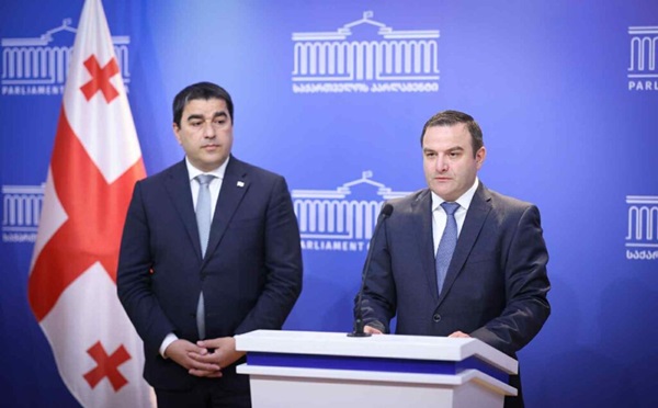 პაპუაშვილმა გენერალური პროკურორი გენერალურ აუდიტორად წარადგინა