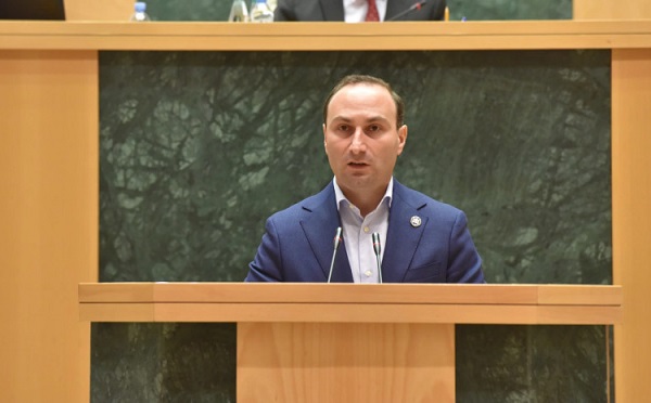 საქართველოს ტერიტორიასა და მის ფარგლებს გარეთ მოქმედი ჯგუფები გეგმავდნენ სამოქალაქო არეულობის პროვოცირებას, რომლის მიზანი ხელისუფლების ძალადობრივი გზით შეცვლა იყო - ანრი ოხანაშვილი