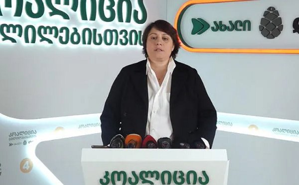 ნიკა მელია, მორიგ ჯერზე, პოლიტიკური რეპრესიების მსხვერპლია, სისტემას მისი დაშინება, მისი პოლიტიკური პოზიციისა და ბრძოლის ცვლილება არ გამოუვა - ელენე ხოშტარია