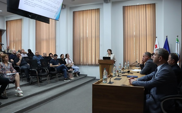 სემეკში მიკროსიმძლავრის ელექტროსადგურების საკითხზე სამუშაო შეხვედრა გაიმართა