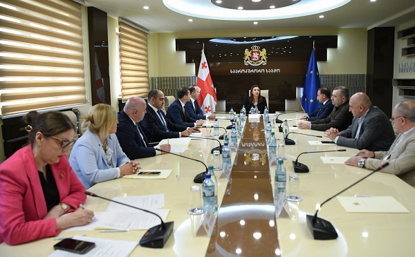 საპროკურორო საბჭოს სხდომაზე გენერალური პროკურორობის კანდიდატად გიორგი გვარაკიძე  დასახელდა