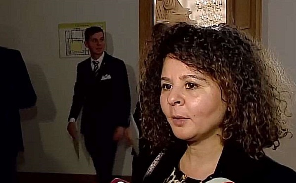 ვიზალიბერალიზაციის შეჩერება შეთანხმებული პროცედურაა ვალდებულებების დარღვევის დროს სწორ გზაზე დასაბრუნებლად - შერაზ გასრი