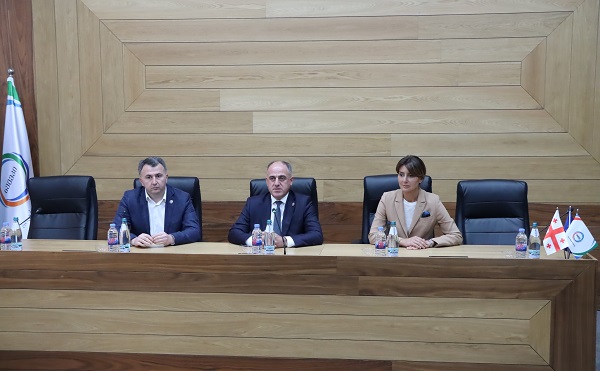სემეკში რუსთავის წყალმომარაგების საკითხებთან დაკავშირებით შეხვედრა გაიმართა