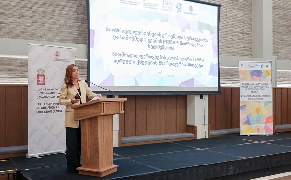 ეროვნული ბიომრავალფეროვნების სტრატეგიისა და სამოქმედო გეგმის (NBSAP) დოკუმენტის შემუშავების პროცესი იწყება