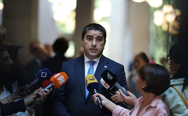 იუკნევიჩიანე რეზოლუციის პროექტში ოპოზიციას მოუწოდებდა არჩევნებში მონაწილეობისკენ და მეორე დღეს, შეიტანა შესწორება და მოუწოდებს, არ მიიღონ მონაწილეობა, ასეთი ხალხი ჰყავს გაღმერთებული ამ „აკა-ცუკა“ ოპოზიციას - პაპუაშვილი