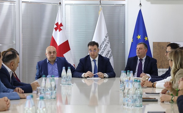 დავით სონღულაშვილი სსიპ მინერალური რესურსების ეროვნული სააგენტოს  თანამშრომლებს შეხვდა