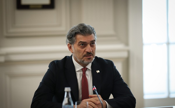 არ არსებობს „ქართული ოცნების“ალტერნატივა - მიხეილ ყაველაშვილი