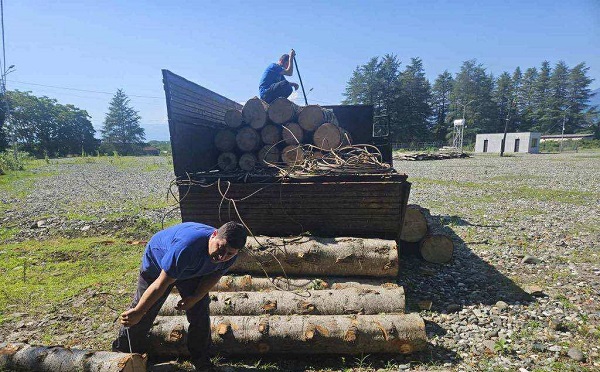 კახეთში, სამეგრელოსა და აჭარაში დიდი ოდენობით ხე-ტყის უკანონო მოპოვება-ტრანსპორტირების ფაქტები გამოვლინდა