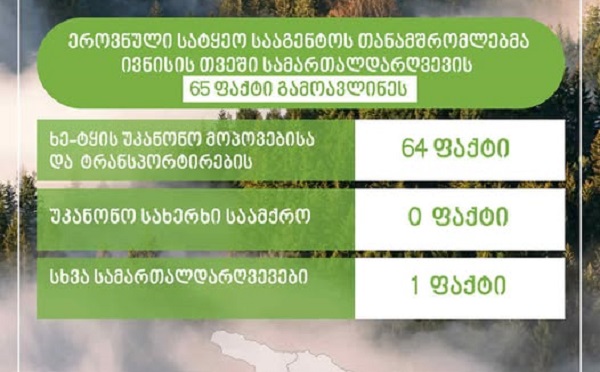 ეროვნული სატყეო სააგენტოს თანამშრომლებმა, მიმდინარე წლის ივნისის თვეში, სამართალდარღვევის 65 ფაქტი გამოავლინეს